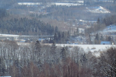 2022_01_12_mrozone_jawory_027