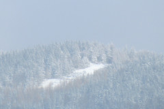 2022_01_12_mrozone_jawory_029