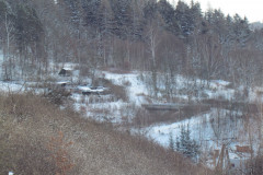 2022_01_12_mrozone_jawory_036