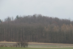 IMG_7532