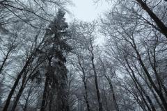 2023_01_28_zimowe_gwarkowanie_15