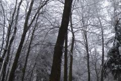 2023_01_28_zimowe_gwarkowanie_16