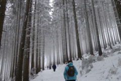 2023_01_28_zimowe_gwarkowanie_19