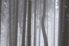 2023_01_28_zimowe_gwarkowanie_21