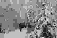 2023_01_28_zimowe_gwarkowanie_41