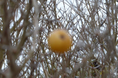 2023_01_28_zimowe_gwarkowanie_42