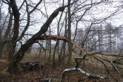 2023_02_25_Zimowe_gwarkowanie_4_013