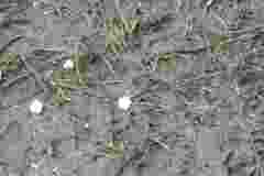 2023_02_25_Zimowe_gwarkowanie_4_042