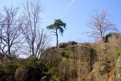 2023_04_2_Szlak_Zamkow_Piastowskich_4_099