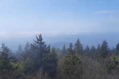 IMG-20230520-WA0000