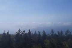 IMG-20230520-WA0004