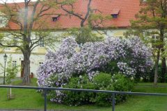 2024_04_20_Praha_023