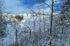 2025_01_04_Spacer_noworoczny_032