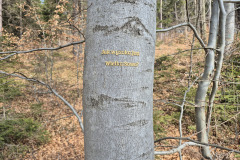 2025_03_29_rozpoczecie_sezonu_gruntowa_015
