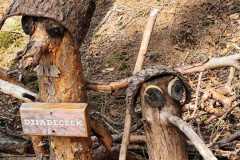 2025_03_29_rozpoczecie_sezonu_gruntowa_055