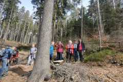 IMG-20250329-WA0030