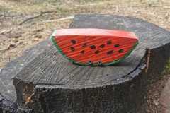 IMG-20250329-WA0035