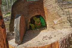 IMG-20250329-WA0037