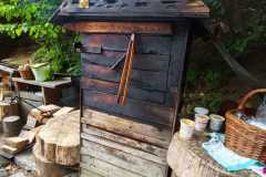 IMG-20250823-WA0003