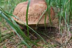 IMG-20250823-WA0006