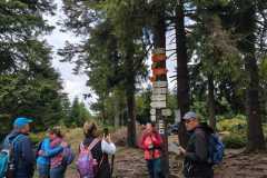 IMG-20250823-WA0018