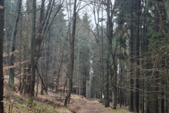 2026_02_14_spacer_walentynkowy_026