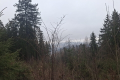 2026_02_14_spacer_walentynkowy_028