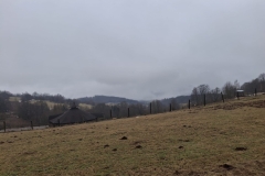 2026_02_14_spacer_walentynkowy_029