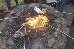 2026_02_14_spacer_walentynkowy_030