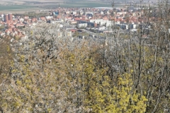 WhatsApp-Image-2026-04-11-at-10.32.49