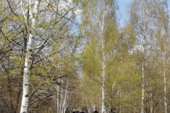 WhatsApp-Image-2026-04-11-at-13.30.40