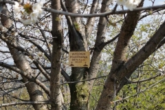 WhatsApp-Image-2026-04-11-at-14.06.32