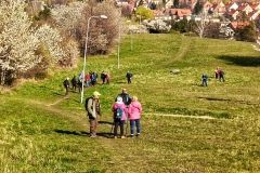 WhatsApp-Image-2026-04-11-at-14.38.33