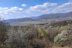 WhatsApp-Image-2026-04-11-at-14.52.52