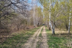 WhatsApp-Image-2026-04-11-at-15.49.47-1