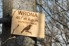 WhatsApp-Image-2026-04-11-at-16.39.35