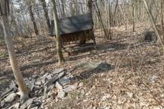 WhatsApp-Image-2026-04-11-at-16.39.36