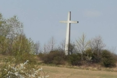 WhatsApp-Image-2026-04-11-at-16.39.37-1