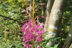 IMG-20250809-WA0020
