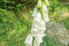 IMG-20250809-WA0022
