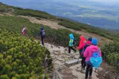 IMG-20250530-WA0030
