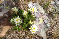 IMG-20250601-WA0004
