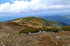 IMG-20250601-WA0012