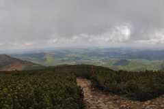 IMG-20250601-WA0022