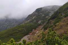 IMG-20250601-WA0029