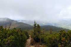 IMG-20250601-WA0032