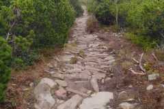 IMG-20250601-WA0035