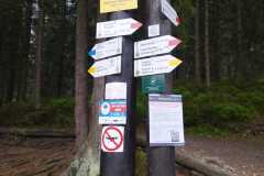 IMG-20250601-WA0048