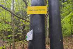 IMG-20250601-WA0051