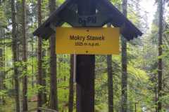 IMG-20250601-WA0053